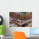 Close-up Goby Indonesia Wall Decal