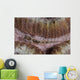 Close-up Goby Indonesia Wall Decal