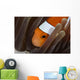 Clown Anemonefish Indonesia Wall Decal Design 1