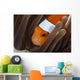 Clown Anemonefish Indonesia Wall Decal Design 1