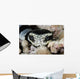 Black and White Sea Wall Decal
