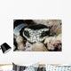 Black and White Sea Wall Decal