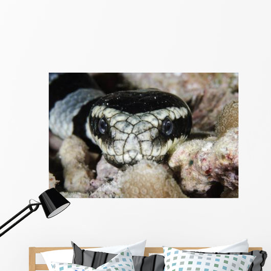 Black and White Sea Wall Decal