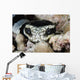Black and White Sea Wall Decal