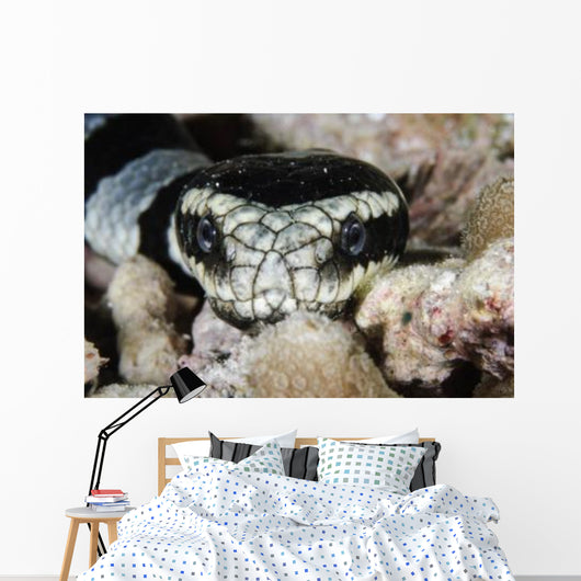 Black and White Sea Wall Decal