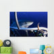 Female Great White Shark Wall Decal Design 1