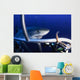 Female Great White Shark Wall Decal Design 1