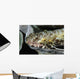 Lizardfish Indonesia Wall Decal