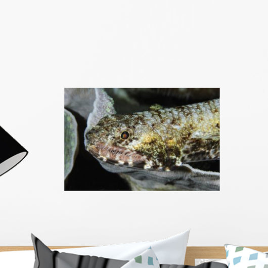 Lizardfish Indonesia Wall Decal