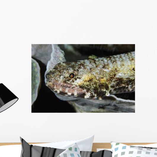 Lizardfish Indonesia Wall Decal