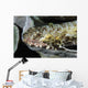 Lizardfish Indonesia Wall Decal