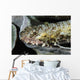 Lizardfish Indonesia Wall Decal