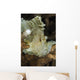 Leaf Scorpionfish Indonesia Wall Decal Design 1