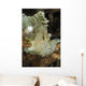 Leaf Scorpionfish Indonesia Wall Decal Design 1