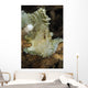 Leaf Scorpionfish Indonesia Wall Decal Design 1