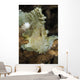 Leaf Scorpionfish Indonesia Wall Decal Design 1