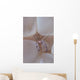 Shrimp Bubble Coral Indonesia Wall Decal Design 1
