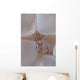 Shrimp Bubble Coral Indonesia Wall Decal Design 1