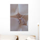 Shrimp Bubble Coral Indonesia Wall Decal Design 1