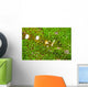 Bumblebee Shrimp Adhesive Anemone Wall Decal Design 1