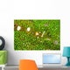 Bumblebee Shrimp Adhesive Anemone Wall Decal Design 1