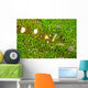 Bumblebee Shrimp Adhesive Anemone Wall Decal Design 1