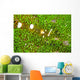 Bumblebee Shrimp Adhesive Anemone Wall Decal Design 1