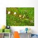 Bumblebee Shrimp Adhesive Anemone Wall Decal Design 1