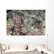 Stonefish Portrait Australia Wall Decal