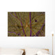 Arrow Crab Sea Fan Wall Decal