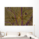 Arrow Crab Sea Fan Wall Decal