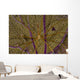 Arrow Crab Sea Fan Wall Decal