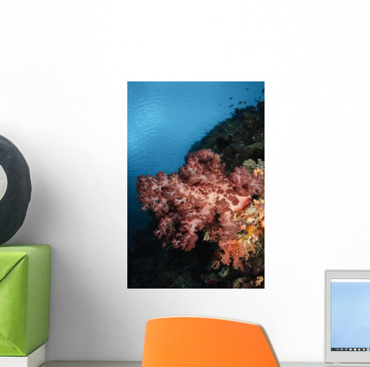 Soft Coral Seascape Indonesia Wall Decal Design 3