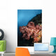 Soft Coral Seascape Indonesia Wall Decal Design 3