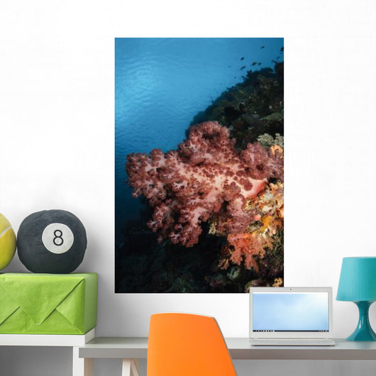 Soft Coral Seascape Indonesia Wall Decal Design 3
