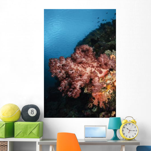 Soft Coral Seascape Indonesia Wall Decal Design 3