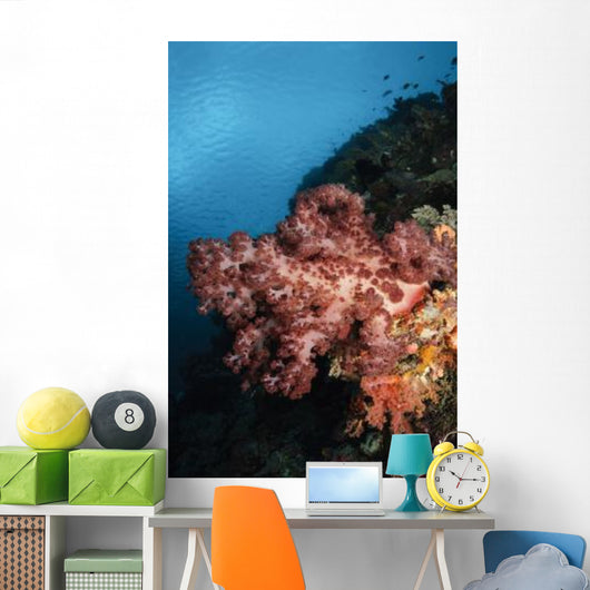 Soft Coral Seascape Indonesia Wall Decal Design 3