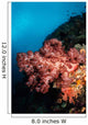 Soft Coral Seascape Indonesia Wall Decal Design 3