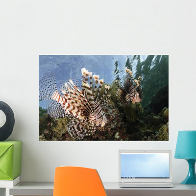 Pair Lionfish Indonesia Wall Decal Design 1 shown on a wall