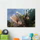 Pair Lionfish Indonesia Wall Decal Design 1
