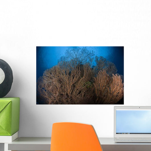 Sea Fan Seascape Belize Wall Decal Design 1