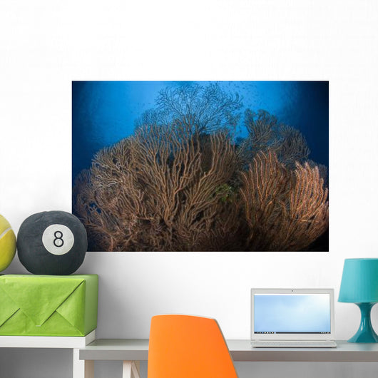 Sea Fan Seascape Belize Wall Decal Design 1
