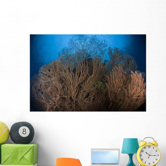 Sea Fan Seascape Belize Wall Decal Design 1