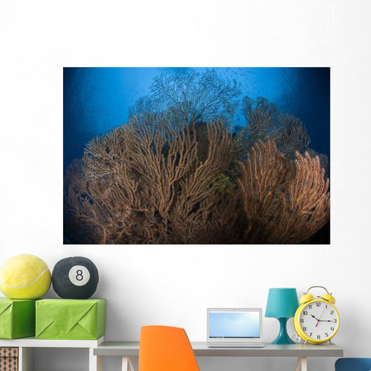 Sea Fan Seascape Belize Wall Decal Design 1