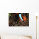 Anemonefish Purple Tip Anemone Wall Decal