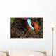 Anemonefish Purple Tip Anemone Wall Decal