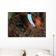 Anemonefish Purple Tip Anemone Wall Decal