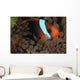 Anemonefish Purple Tip Anemone Wall Decal