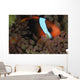 Anemonefish Purple Tip Anemone Wall Decal
