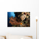Soft Coral Seascape Indonesia Wall Decal Design 2